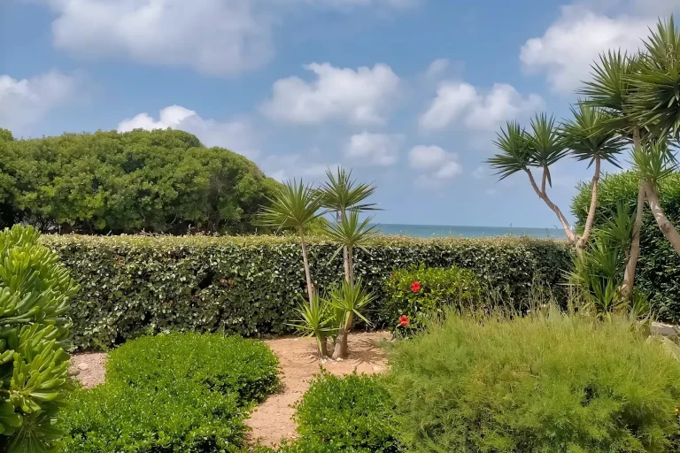 Imágenes Alcossebre Cala Montero